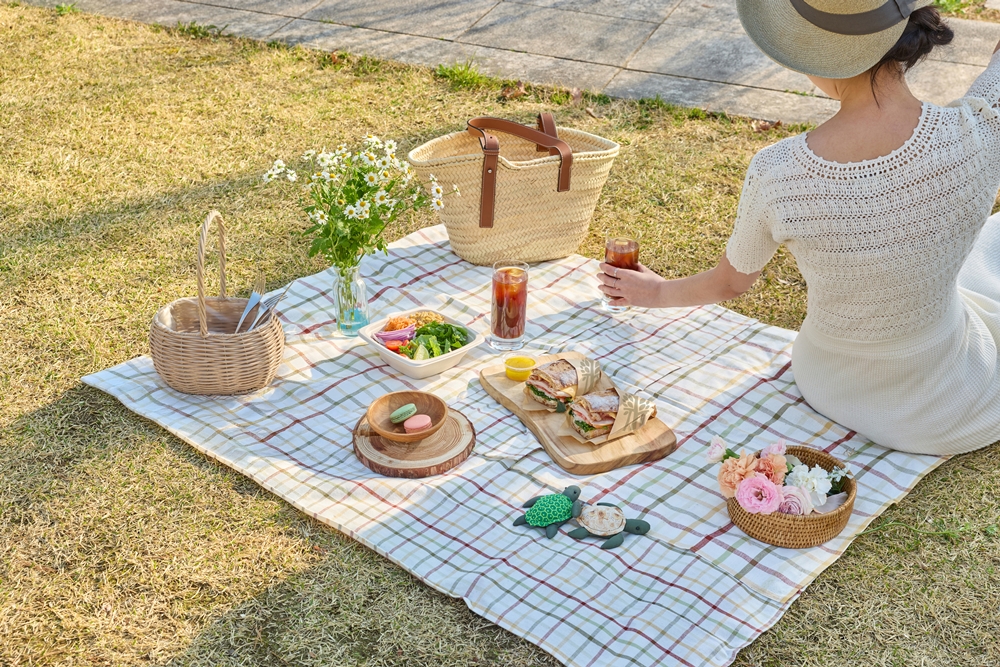 Picnic in Namsan PKG